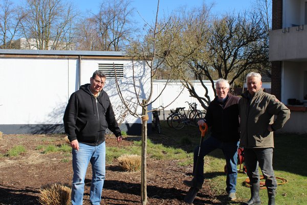 Es wird von 3 Männern ein ca. 175cm großer Setzling in den Garten des Erich Wandel Zentrum gesetzt. Zu sehen sind links, Herr Apelt, Heimleitung und rechts 2 Männer des Vereins "Lippstadt wird Grün".